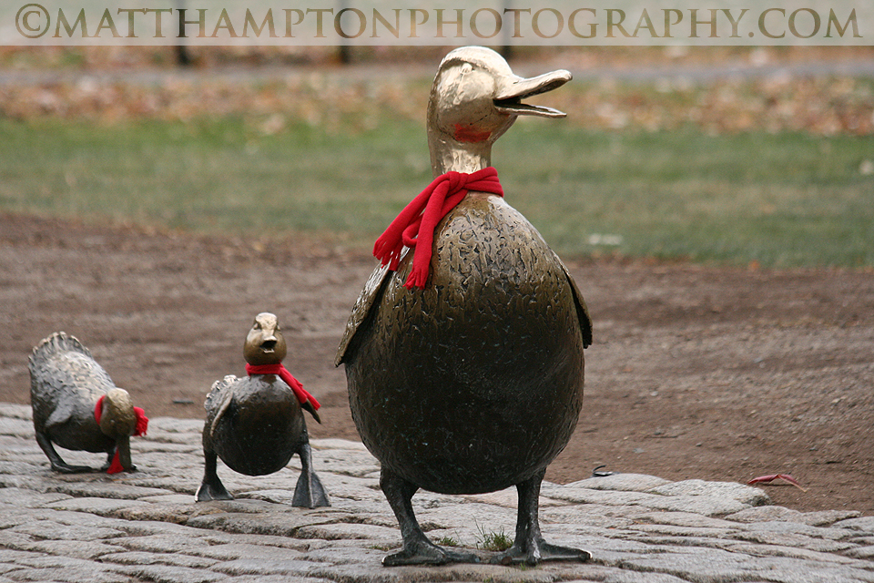 Bronze Duckling Statue; Boston Common